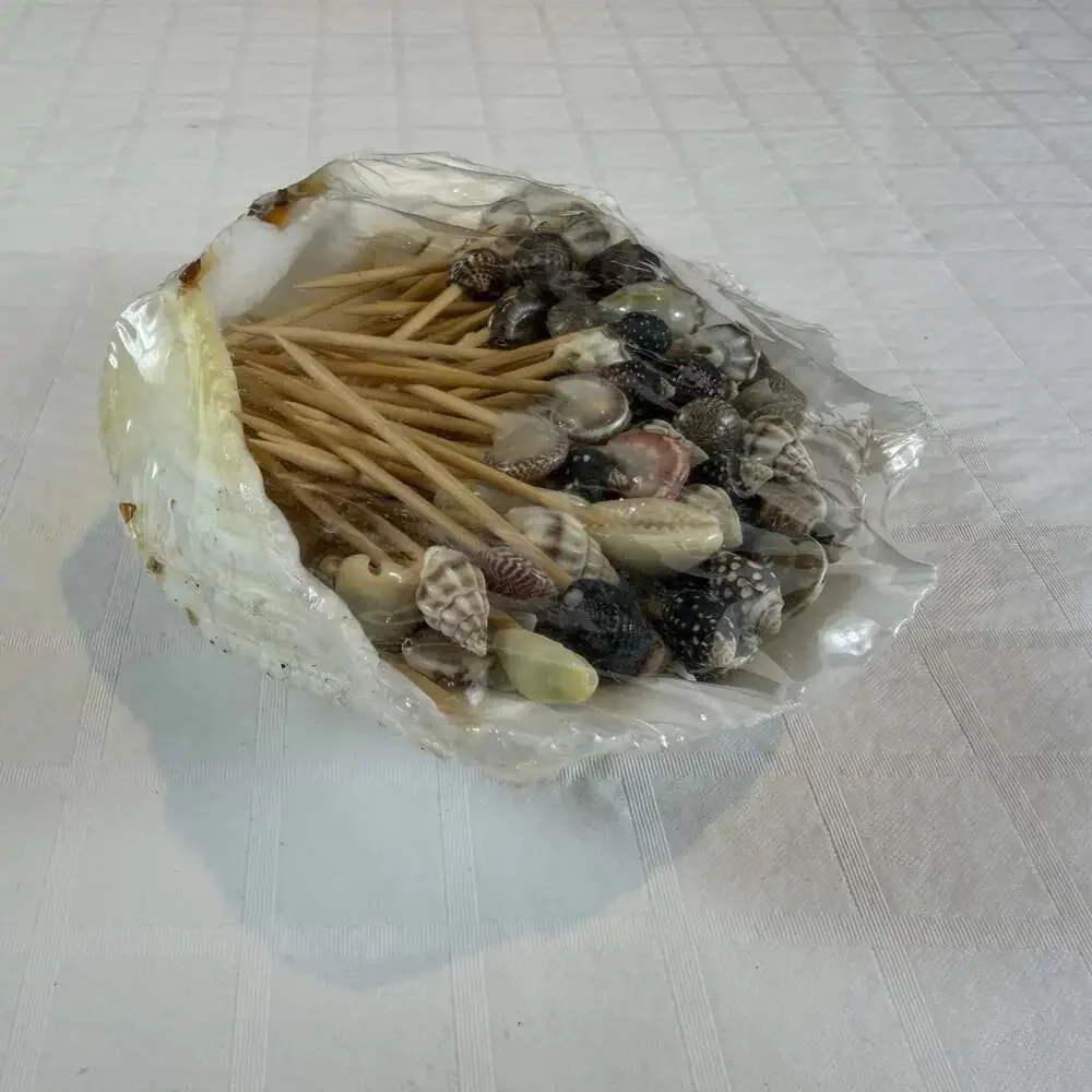 N/A shell topped